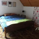 Jamie Przy Trasie Rowerowej Barlinek - Choszczno Zamecin