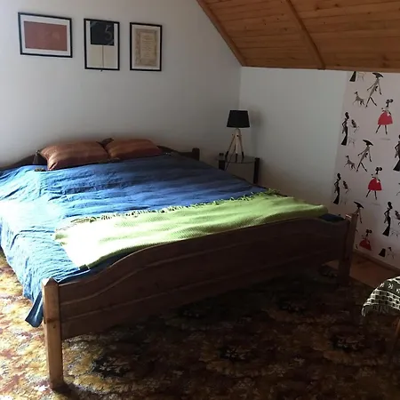 Jamie Przy Trasie Rowerowej Barlinek - Choszczno Zamecin